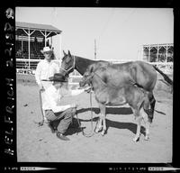 Mare & foal - Lilly Pons/Billie Pons, Roy E. Ruge, Chapman, Neb.