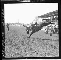 Leonard Lancaster on Big John