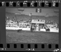 Dale Carroll Calf Roping