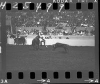 Bud Farris Calf Roping