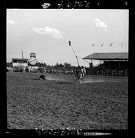 Bill Teague Steer Roping