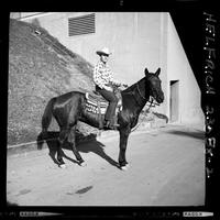 Jim Bob Altizer on horse