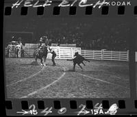 Olin Young Calf Roping