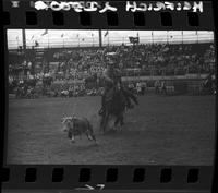 Harry Charters Calf Roping