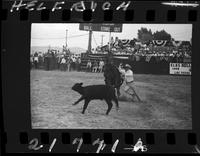 Don McLaughlin Calf Roping