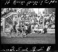 Corinne Williams Steer Wrestling