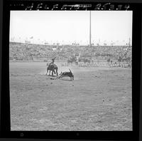 Jim Bob Altizer Calf Roping