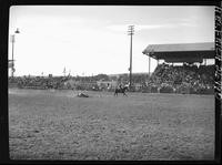 J. B. McMeans Steer Roping