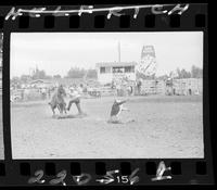 Jimmie Cooper Calf Roping