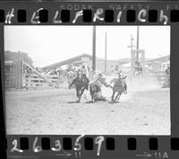 Clyde May Steer Wrestling