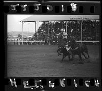 Gene Campbell Steer Wrestle