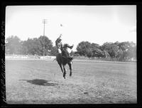 Ted Varyo on Gentleman Jim  (V)