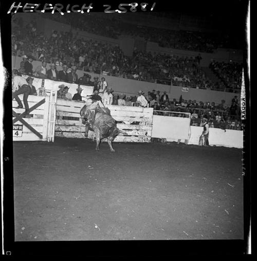 December 1964 Rodeo; 8th &amp; Final Round  BR