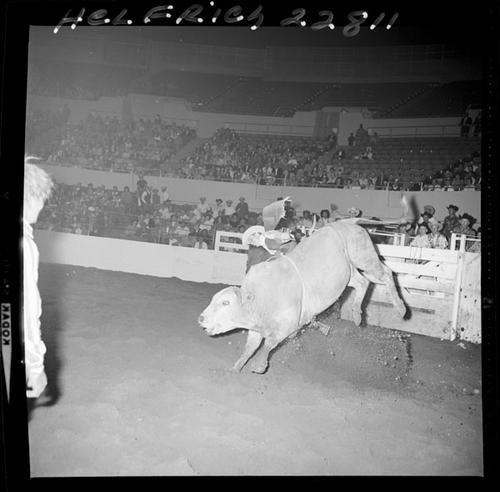 November 26, 1963  Tuesday Afternoon Rodeo; 1st Round BR