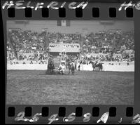 James Bynum Steer Wrestling