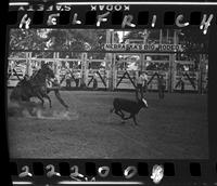 Bob Bradberry Calf Roping