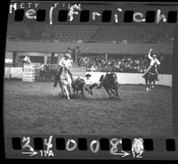 Barry Burke Steer Wrestling