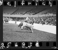 Jim Rodriguez Jr. - Ken Luman Team Roping