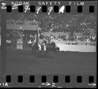 Bobby Goodspeed Calf Roping