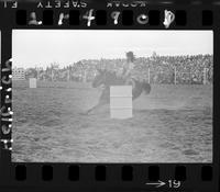 Allene Gaylor Barrel Racing