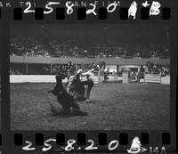 Ernest Forsberg Calf Roping