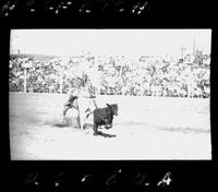 Bob Kennedy Calf Roping