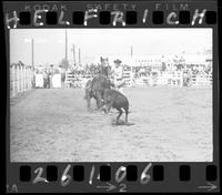 Jeff Cameron Calf Roping