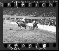 Les Hirdes - Al Hooper Team Roping