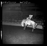 Bob Robinson on Storm Cloud  (Kes)