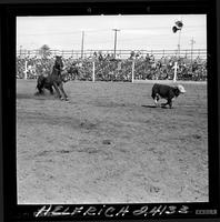 Ken Neuens Calf Roping