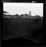 Don McLaughlin Steer Roping