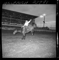 Howard Carroll on Jumbalaya