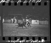 Bob Wiley Calf Roping