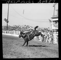 Jerry Bishop on Knott Inn