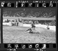 Jim Bob Altizer Calf Roping