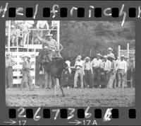 Alvin Nelson on Prairie Schooner  (F)