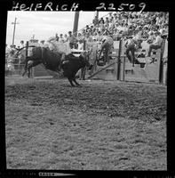 Larry Mahan on High Tower