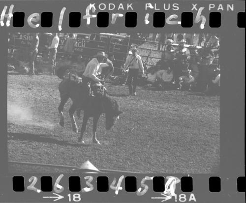 April 23, 1965 "On a Ranch, Lower Lake, Calf. Rodeo, an outdoor arena, grandstand, barecue, etc."