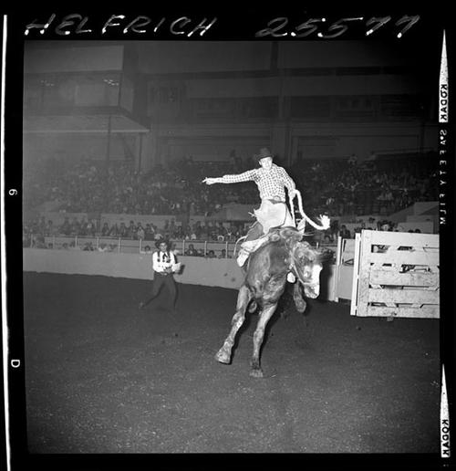 October 31, 1964  "Cow Palace"  Afternoon