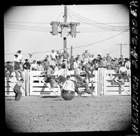 Bill Burton Bull Riding