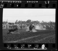 Lawrence Dewitt Calf Roping