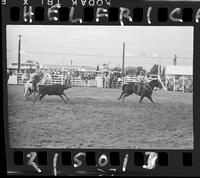 Art Arnold - Carl Arnold Team Roping