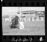 Babs Neal Barrel Racing