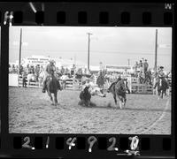 Joel Sublette Steer Wrestling