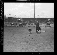 George Schricker Calf Roping