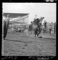 Leo Brown off Dragline  (V)