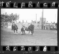 Poag Brenton Steer Wrestling