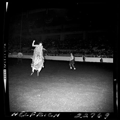 November 02, 1963  Cow Palace  (Nite)
