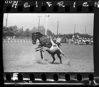 Jesse johnson Calf roping