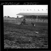 Bob Wiley Calf Roping